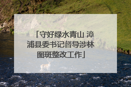 守好绿水青山 漳浦县委书记督导涉林图斑整改工作