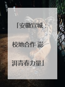 安徽宣城：校地合作 澎湃青春力量
