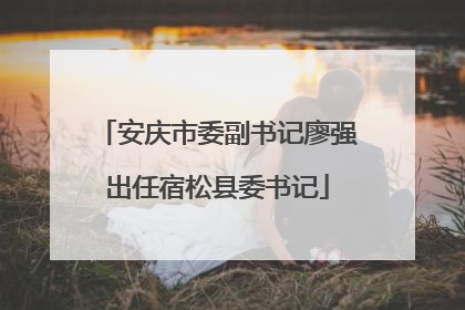 安庆市委副书记廖强出任宿松县委书记