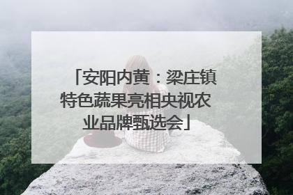 安阳内黄：梁庄镇特色蔬果亮相央视农业品牌甄选会