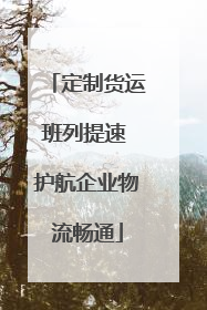 定制货运班列提速 护航企业物流畅通