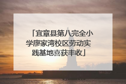 宜章县第八完全小学廖家湾校区劳动实践基地喜获丰收