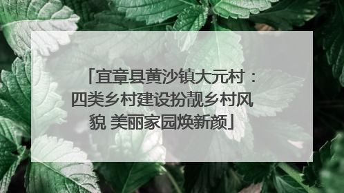 宜章县黄沙镇大元村：四类乡村建设扮靓乡村风貌 美丽家园焕新颜