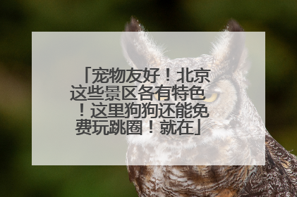 宠物友好！北京这些景区各有特色！这里狗狗还能免费玩跳圈！就在