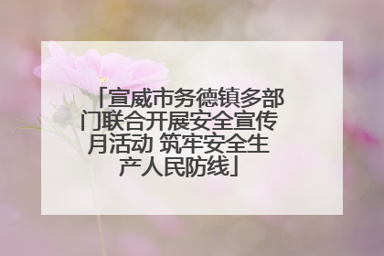 宣威市务德镇多部门联合开展安全宣传月活动 筑牢安全生产人民防线
