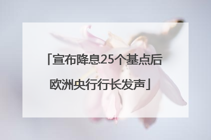 宣布降息25个基点后 欧洲央行行长发声