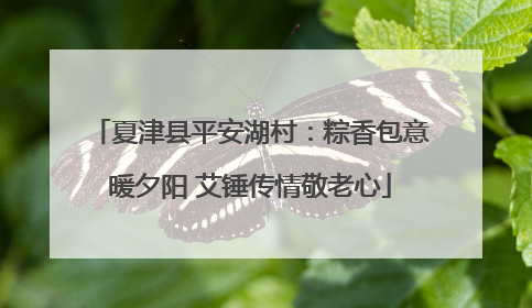 夏津县平安湖村：粽香包意暖夕阳 艾锤传情敬老心