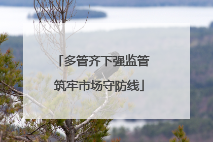 多管齐下强监管 筑牢市场守防线