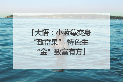 大悟：小蓝莓变身“致富果” 特色生“金”致富有方