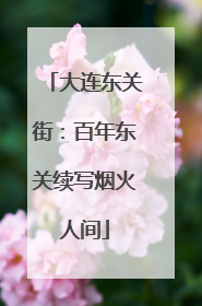 大连东关街：百年东关续写烟火人间