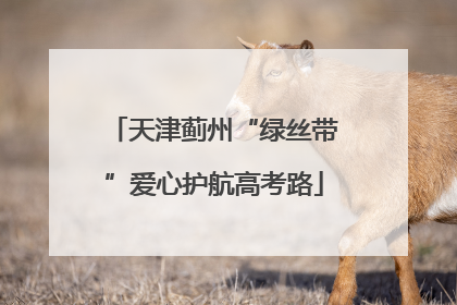 天津蓟州“绿丝带”爱心护航高考路