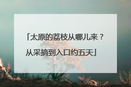 太原的荔枝从哪儿来？从采摘到入口约五天