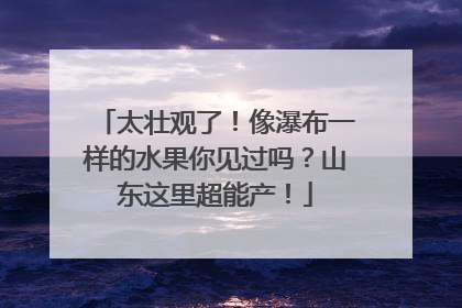 太壮观了！像瀑布一样的水果你见过吗？山东这里超能产！
