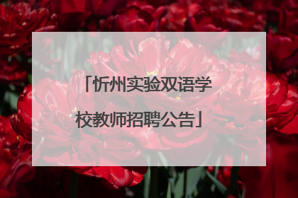 忻州实验双语学校教师招聘公告