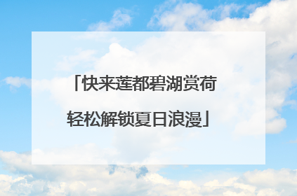 快来莲都碧湖赏荷 轻松解锁夏日浪漫