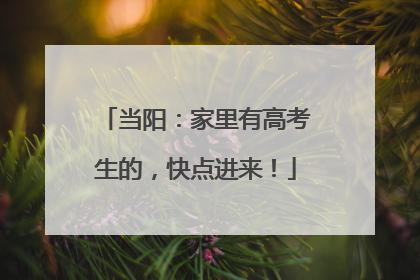 当阳：家里有高考生的，快点进来！