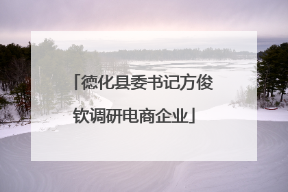 德化县委书记方俊钦调研电商企业