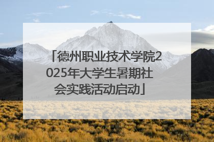 德州职业技术学院2025年大学生暑期社会实践活动启动