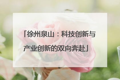 徐州泉山：科技创新与产业创新的双向奔赴