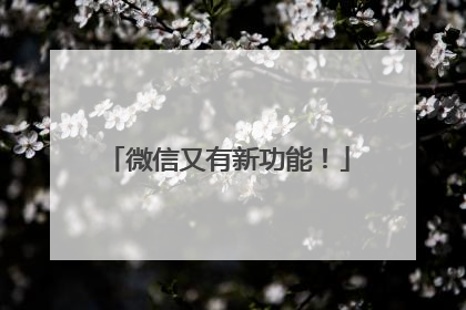微信又有新功能！