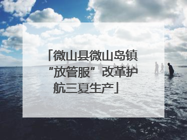 微山县微山岛镇“放管服”改革护航三夏生产