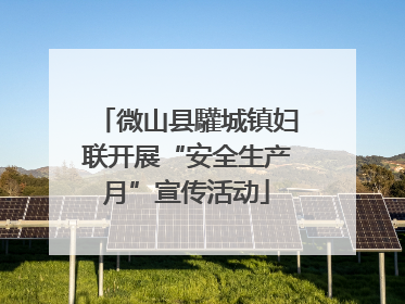 微山县驩城镇妇联开展“安全生产月”宣传活动