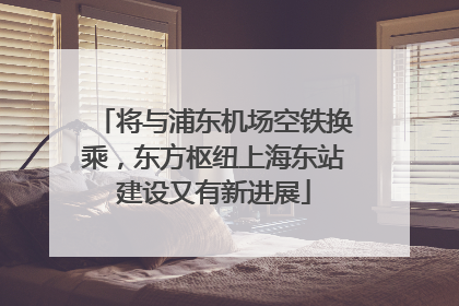 将与浦东机场空铁换乘，东方枢纽上海东站建设又有新进展