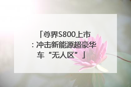 尊界S800上市：冲击新能源超豪华车“无人区”
