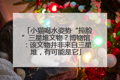 小猫喝水姿势“撞脸”三星堆文物？博物馆：该文物并非来自三星堆，有可能是它
