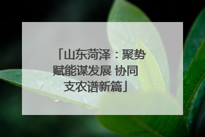 山东菏泽：聚势赋能谋发展 协同支农谱新篇