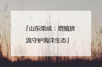 山东荣成：增殖放流守护海洋生态