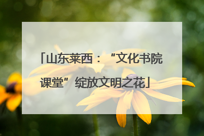 山东莱西：“文化书院课堂”绽放文明之花
