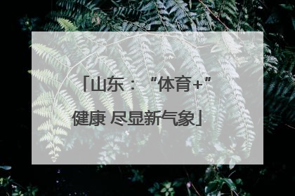山东：“体育+”健康 尽显新气象