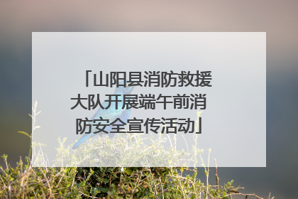 山阳县消防救援大队开展端午前消防安全宣传活动