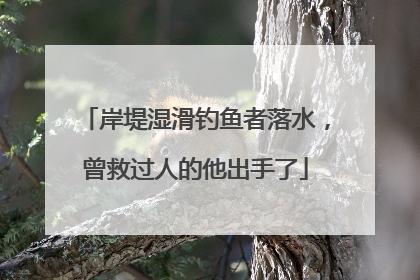 岸堤湿滑钓鱼者落水，曾救过人的他出手了
