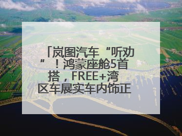 岚图汽车“听劝”！鸿蒙座舱5首搭，FREE+湾区车展实车内饰正式曝光