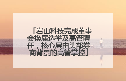 岩山科技完成董事会换届选举及高管聘任，核心层由头部券商背景的高管掌控