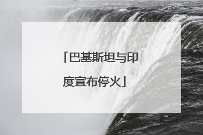 巴基斯坦与印度宣布停火