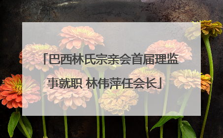 巴西林氏宗亲会首届理监事就职 林伟萍任会长