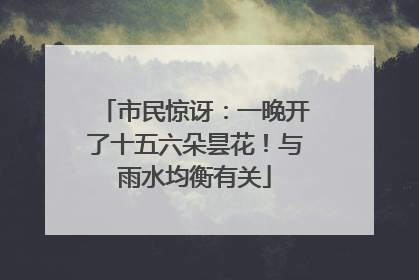 市民惊讶：一晚开了十五六朵昙花！与雨水均衡有关