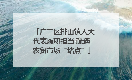 广丰区排山镇人大代表履职担当 疏通农贸市场“堵点”