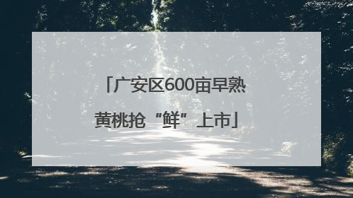 广安区600亩早熟黄桃抢“鲜”上市