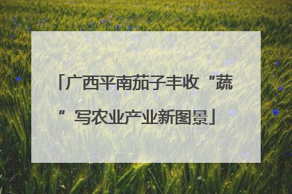 广西平南茄子丰收“蔬”写农业产业新图景