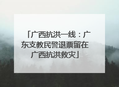 广西抗洪一线：广东支教民警退票留在广西抗洪救灾