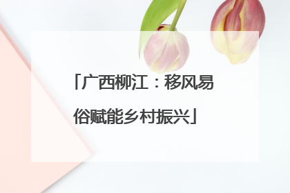 广西柳江：移风易俗赋能乡村振兴