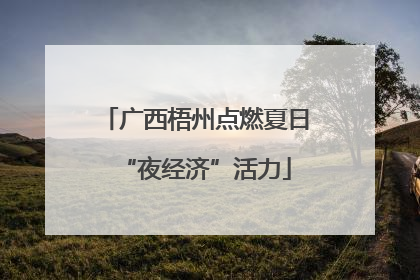 广西梧州点燃夏日“夜经济”活力