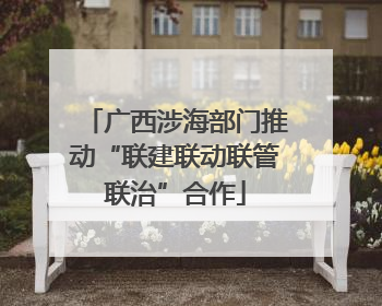 广西涉海部门推动“联建联动联管联治”合作