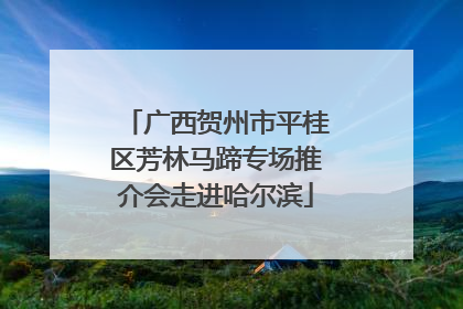 广西贺州市平桂区芳林马蹄专场推介会走进哈尔滨