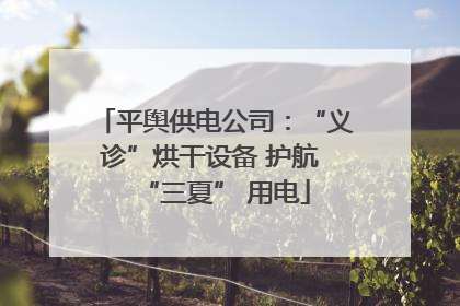 平舆供电公司：“义诊”烘干设备 护航 “三夏” 用电