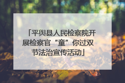 平舆县人民检察院开展检察官“童”你过双节法治宣传活动